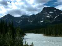 Icefields Parkway, Jasper National Park, Alberta, Canada CM11-30