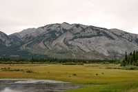 Jasper National Park, Alberta, Canada CM11-38