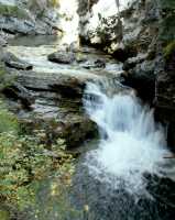 Johnson Canyon, Banff National Park, Alberta CM11-02