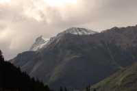 Jumbo Pass Region, Kootenay Rockies, British Columbia, Canada CM11-004