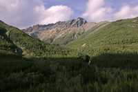 Jumbo Pass Region, Kootenay Rockies, British Columbia, Canada CM11-005