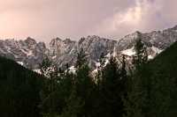 Jumbo Pass Region, Kootenay Rockies, British Columbia, Canada CM11-008
