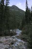 Jumbo Pass Region, Kootenay Rockies, British Columbia, Canada CM11-024