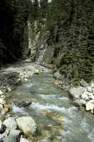 Jumbo Pass Region, Kootenay Rockies, British Columbia, Canada CM11-027