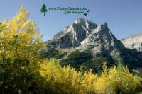 Highlight for Album: Kananaskis Photos 2009, Alberta, Canada, Alberta Stock Photos