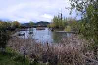 Kelowna Waterfront, British Columbia, Canada CM11-017