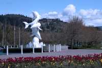 Kelowna Waterfront, British Columbia, Canada CM11-018