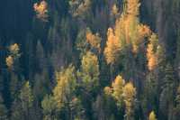 Kettle Valley, Kelowna, British Columbia, Canada CM11-009