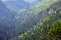 Kettle Valley Trestles, Kelowna, British Columbia, Canada CM11-002