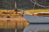 Khutzeymateen Inlet, Gateway To Khutzeymateen Grizzly Sanctuary, Ocean Light 11,British Columbia, CM11-16