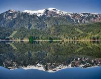 Highlight for Album: Khutzeymateen Inlet Photos, Gateway To Khutzeymateen Grizzly Sanctuary, British Columbia Stock Photos - see also Wildlife Gallery - Khutzeymateen Grizzlies 