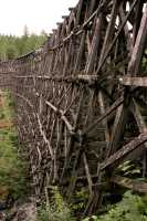 Kinsol Trestle, Shawnigan Lake, Vancouver Island CM11-002