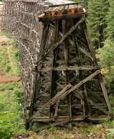 Kinsol Trestle, Shawnigan Lake, Vancouver Island CM11-003