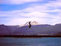 Kiteboarding, Squamish Harbour, British Columbia, Canada 10