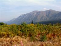 Kluane National Park, Yukon, Canada 04