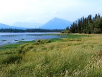 Kluane National Park, Yukon, Canada 03