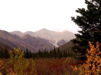 Highlight for Album: Kluane National Park of Canada Photos, Yukon, Canada, Canadian National Parks Stock Photos