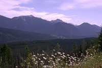 Kootenay National Park, 2011, British Columbia, Canada CM11-001
