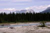Kootenay National Park, 2011, British Columbia, Canada CM11-005