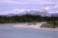 Kootenay National Park, 2011, British Columbia, Canada CM11-006