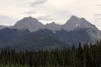 Kootenay National Park, 2011, British Columbia, Canada CM11-007