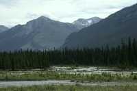 Kootenay National Park, 2011, British Columbia, Canada CM11-009