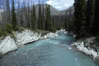 Kootenay National Park, 2011, British Columbia, Canada CM11-011