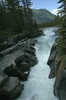 Kootenay National Park, 2011, British Columbia, Canada CM11-013