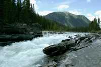 Kootenay National Park, 2011, British Columbia, Canada CM11-015