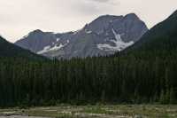 Kootenay National Park, 2011, British Columbia, Canada CM11-017