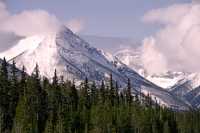 Kootenay National Park 2009, British Columbia CM11-01