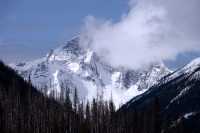 Kootenay National Park 2009, British Columbia CM11-04