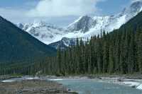 Kootenay National Park 2009, British Columbia CM11-06