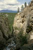 Kootenay National Park 2009, British Columbia CM11-12