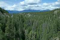 Kootenay National Park 2009, British Columbia CM11-13