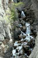 Kootenay National Park 2009, British Columbia CM11-16