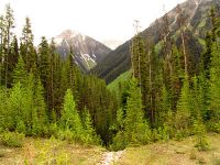 Kootenay National Park, British Columbia, Canada 02