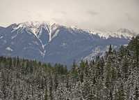 Kootenay National Park, British Columbia, Canada CM11-07