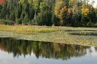 Highlight for Album: La Mauricie National Park of Canada Photos, Quebec, Canada, Canadian National Parks Stock Photos