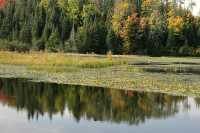 La Mauricie National Park of Canada, Quebec, Canada 01