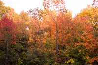 La Mauricie National Park of Canada, Quebec, Canada 05
