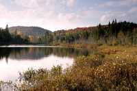 La Mauricie National Park of Canada, Quebec, Canada 07
