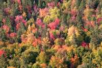 La Mauricie National Park of Canada, Quebec, Canada 09
