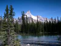 Lake O'Hara, Yoho National Park, British Columbia,Canada CM11-01