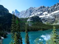Highlight for Album: Lake O'Hara, Yoho National Park, British Columbia, Canadian National Parks Stock Photos