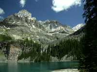 Lake O'Hara, Yoho National Park, British Columbia,Canada CM11-12
