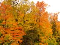Lake Superior Provincial Park 02