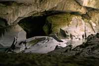 Little Huson Caves, Vancouver Island CM11-001