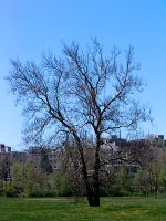 University of Western Ontario, London, Ontario, Canada   06