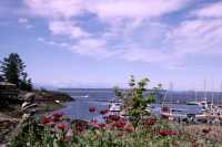 Lund, Sunshine Coast, British Columbia, Canada CM11-017